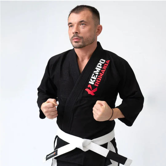 What is the Order of Belts in Kempo Karate and What Do the Colors Mean Knockout Fightgear