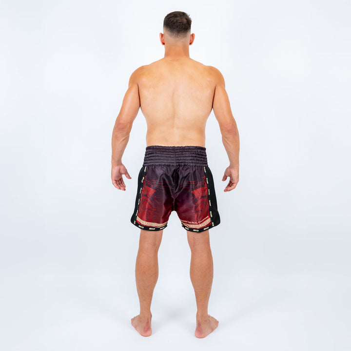 Sort Kickbox Knockout Colosseum | knock-out.ro
