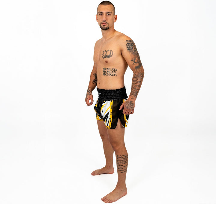 Knockout Kickboxing Shorts Pro Sparring 2.0