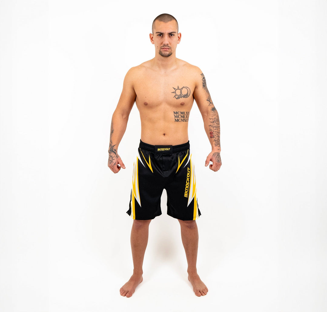 Sort MMA Knockout Pro Sparring 2.0 | knock-out.ro