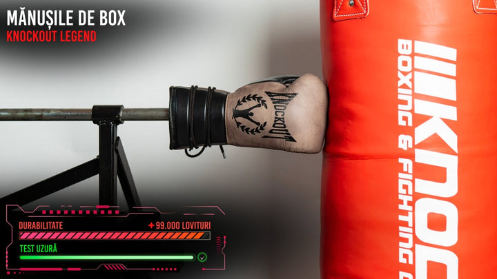 Boxing Gloves Knockout Legend Siret