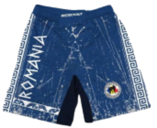 Custom MMA Shorts