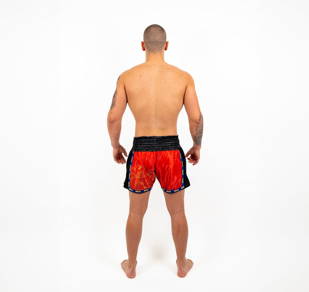 Sort Kickbox Knockout Romania | knock-out.ro