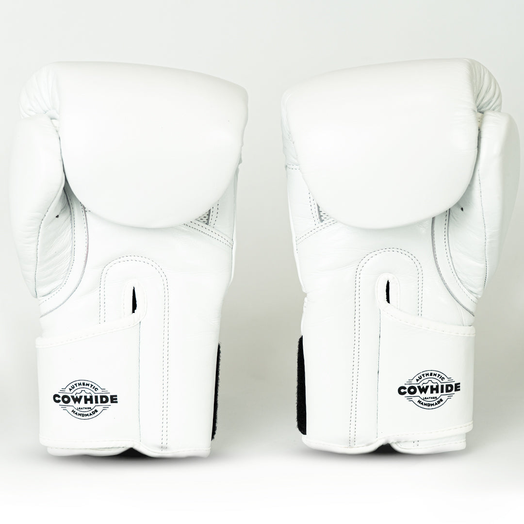 Knockout Boxing Gloves Sparring Day