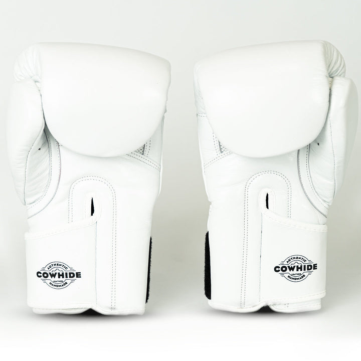 Knockout Boxing Gloves Sparring Day