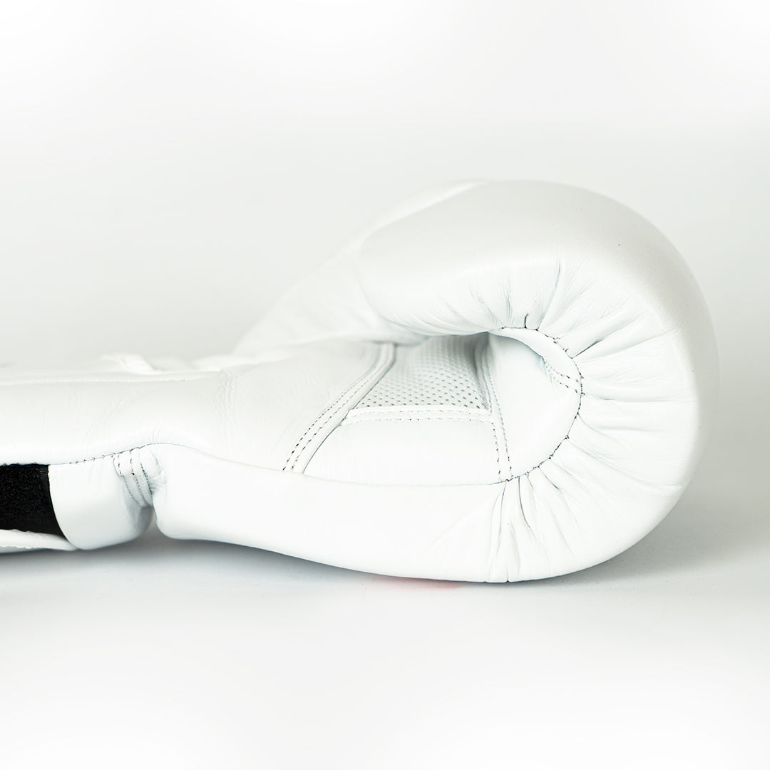 Knockout Boxing Gloves Sparring Day