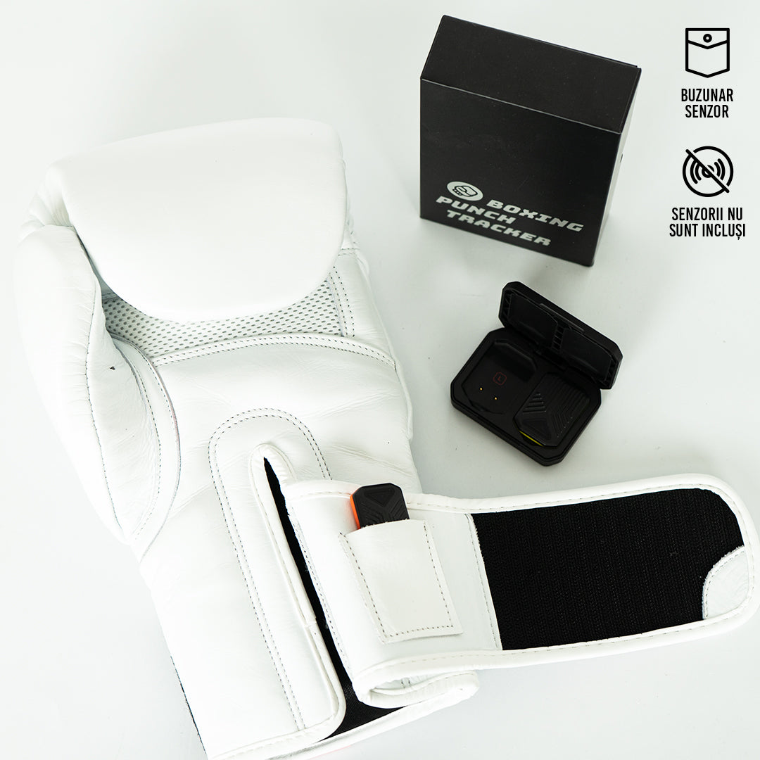 Knockout Boxing Gloves Sparring Day