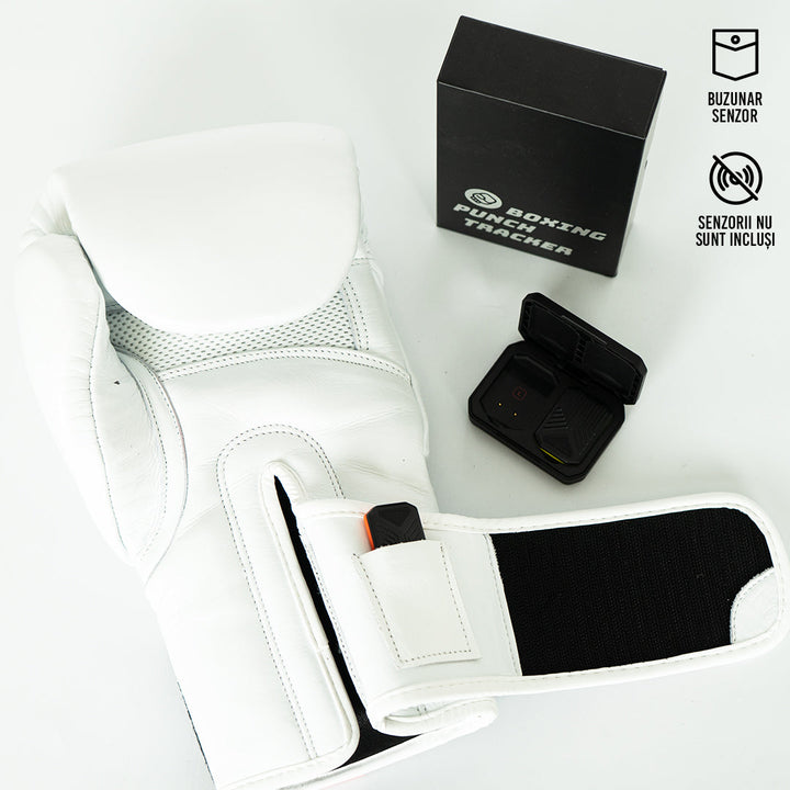 Knockout Boxing Gloves Sparring Day