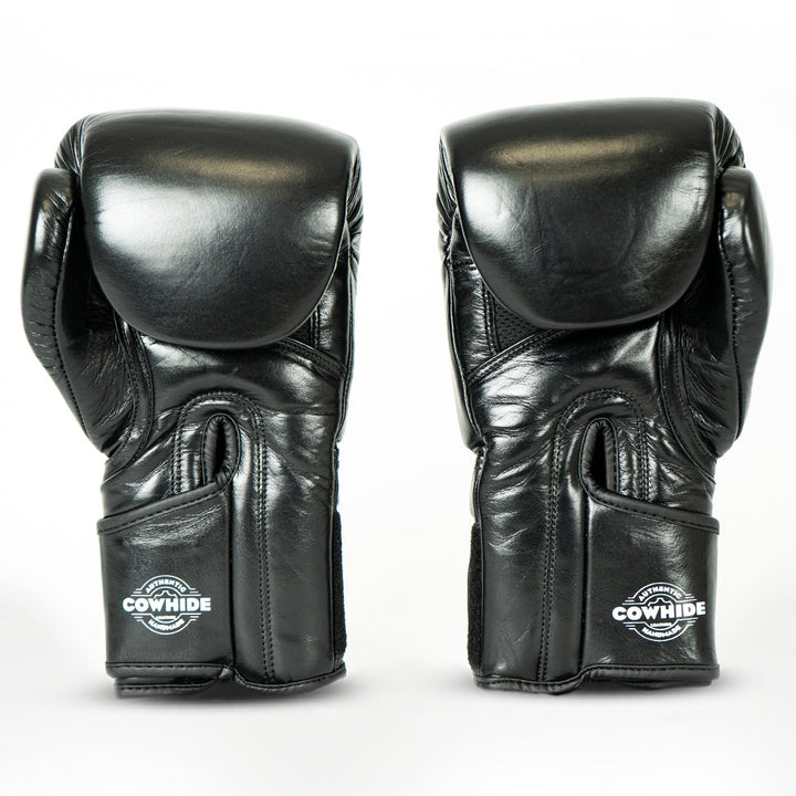 Knockout Boxing Gloves Sparring Day
