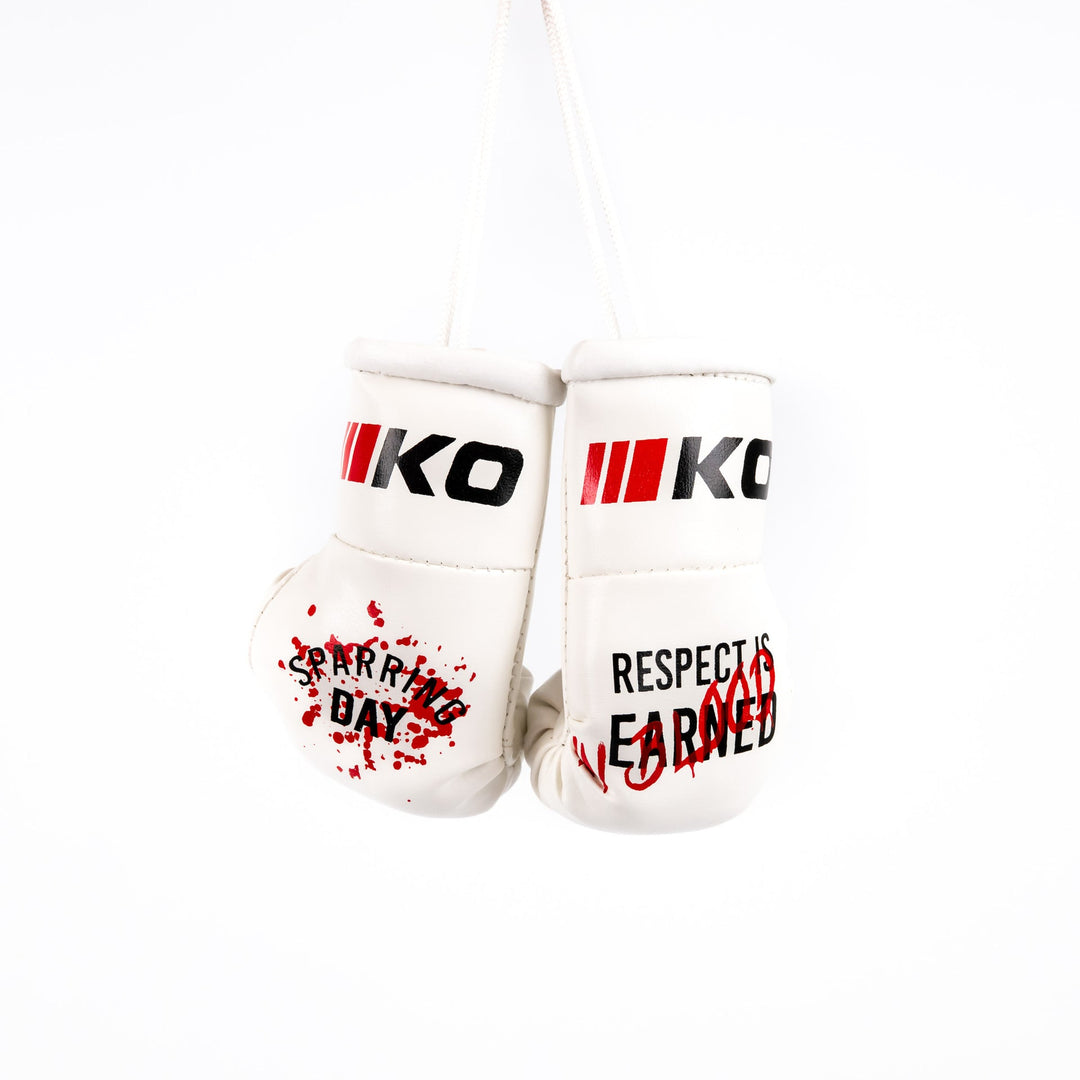 Breloc Mini Manusi Box Sparring Day | knock-out.ro