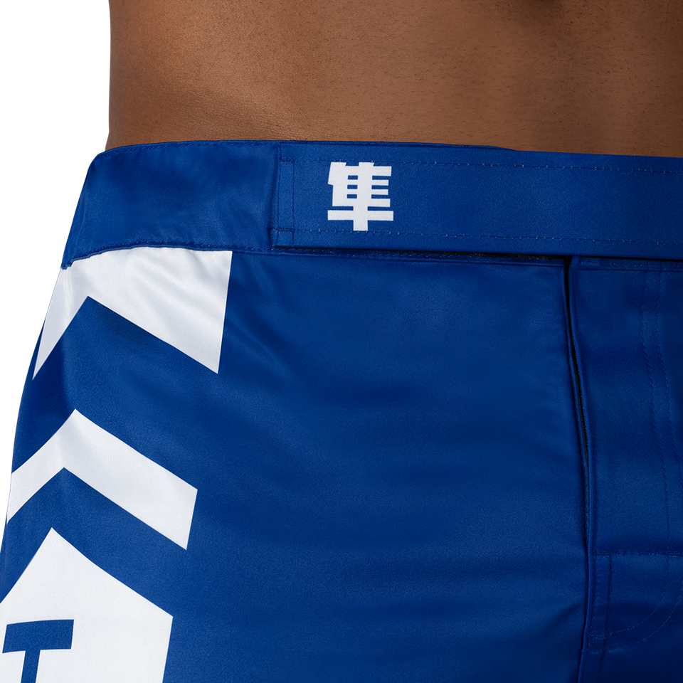 Hayabusa MMA Shorts Icon