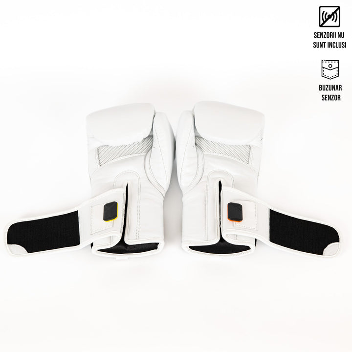 Knockout Boxing Gloves Sparring Day