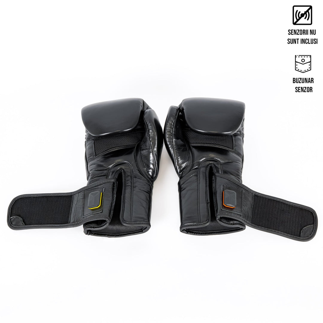 Knockout Boxing Gloves Sparring Day
