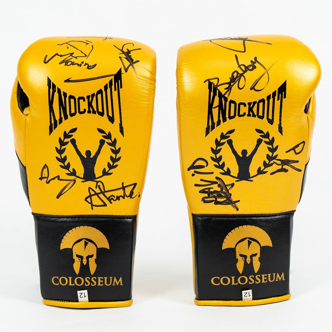 Manusi Box Knockout Semnate de Campionii Colosseum- Editie Speciala | knock-out.ro