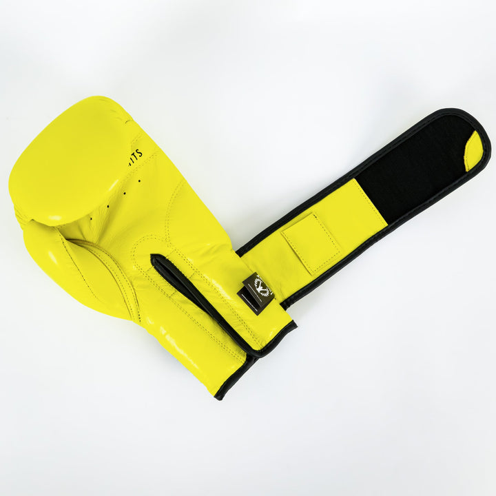 Knockout Boxing Gloves Basic Fluo