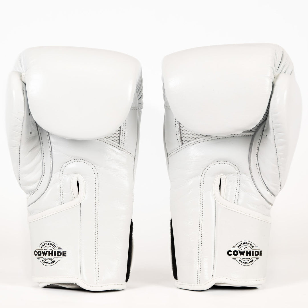 Knockout Boxing Gloves Sparring Day