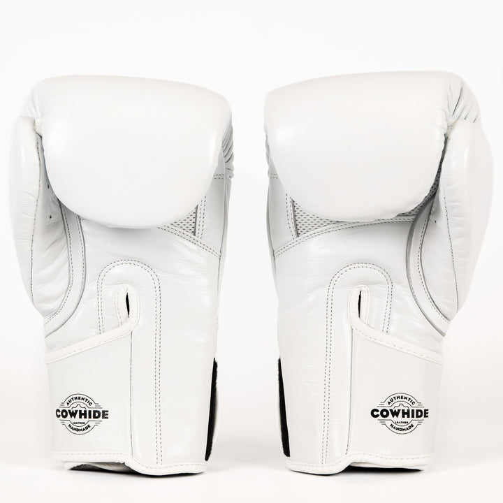 Knockout Boxing Gloves Sparring Day