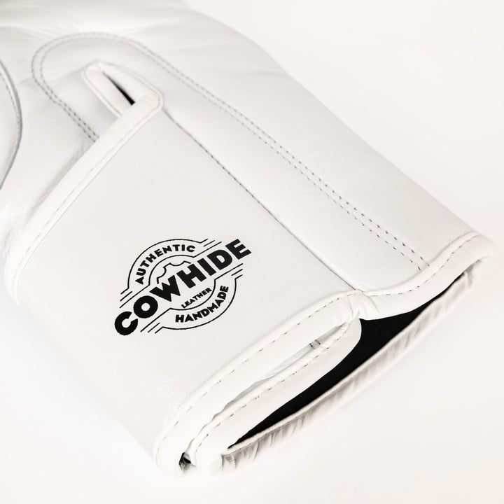 Knockout Boxing Gloves Sparring Day
