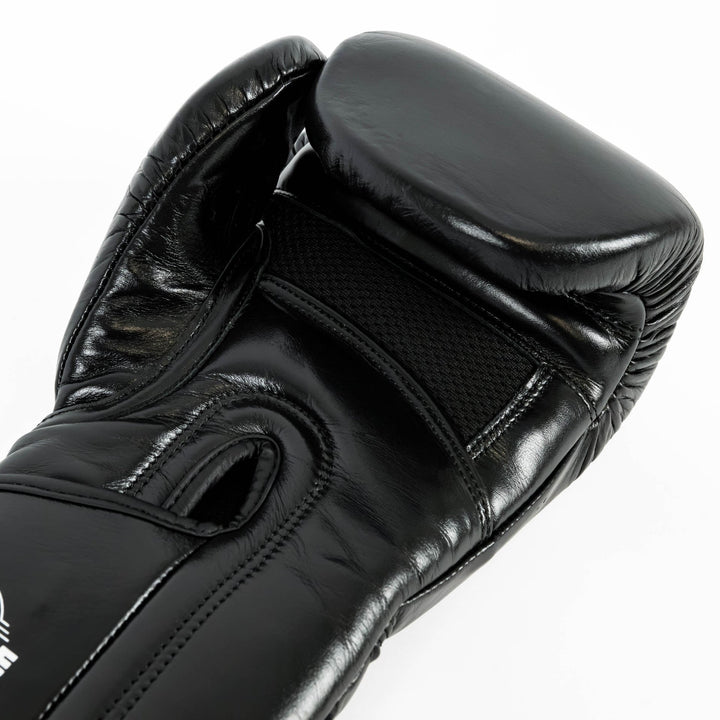 Knockout Boxing Gloves Sparring Day