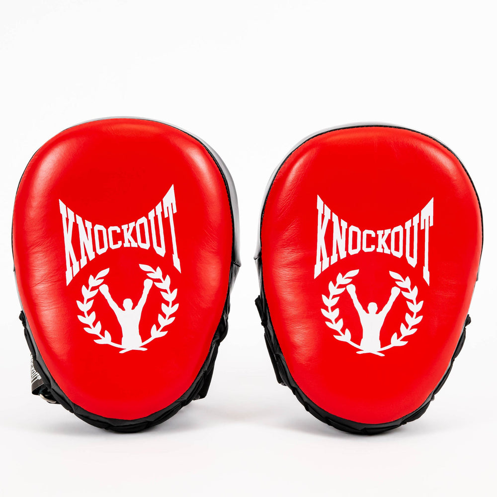 Palmare Knockout Pro Series | knock-out.ro