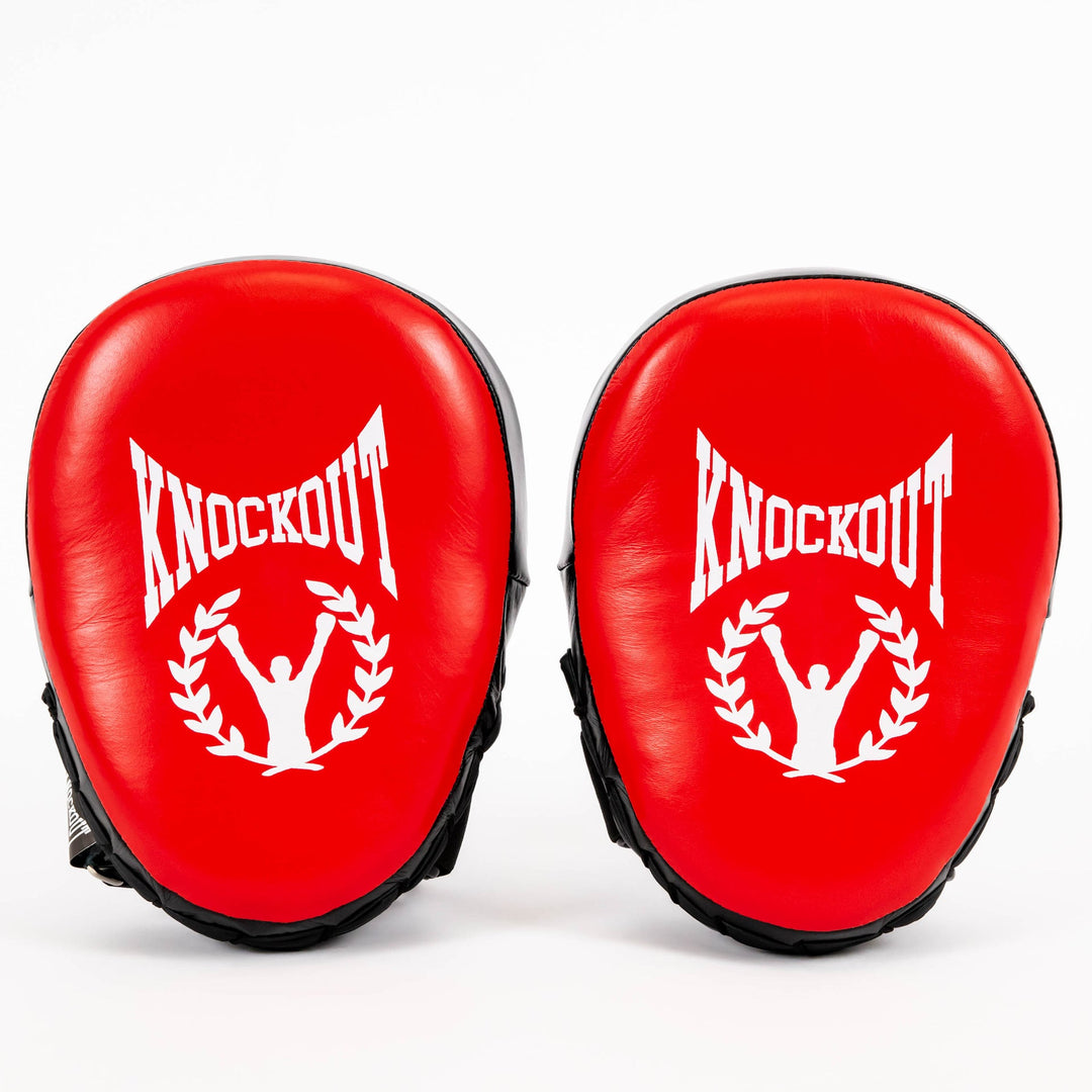 Palmare Knockout Pro Series | knock-out.ro