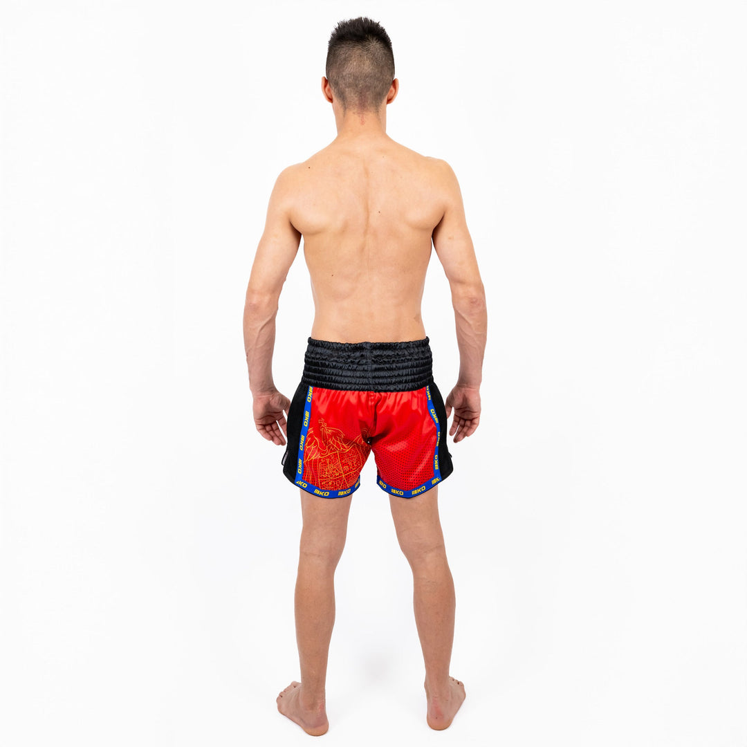 Sort Kickbox Knockout Romania | knock-out.ro