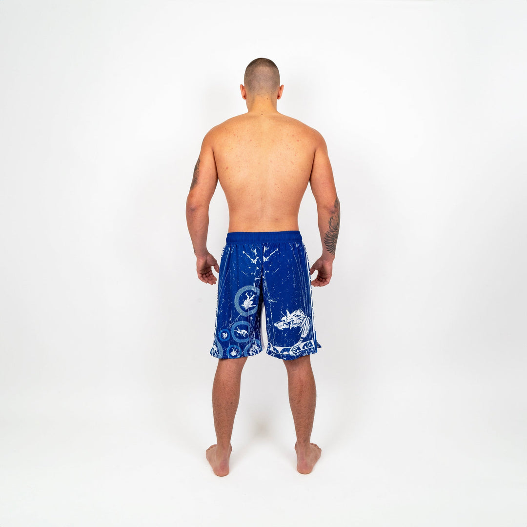 Sort MMA  Knockout Pangration | knock-out.ro