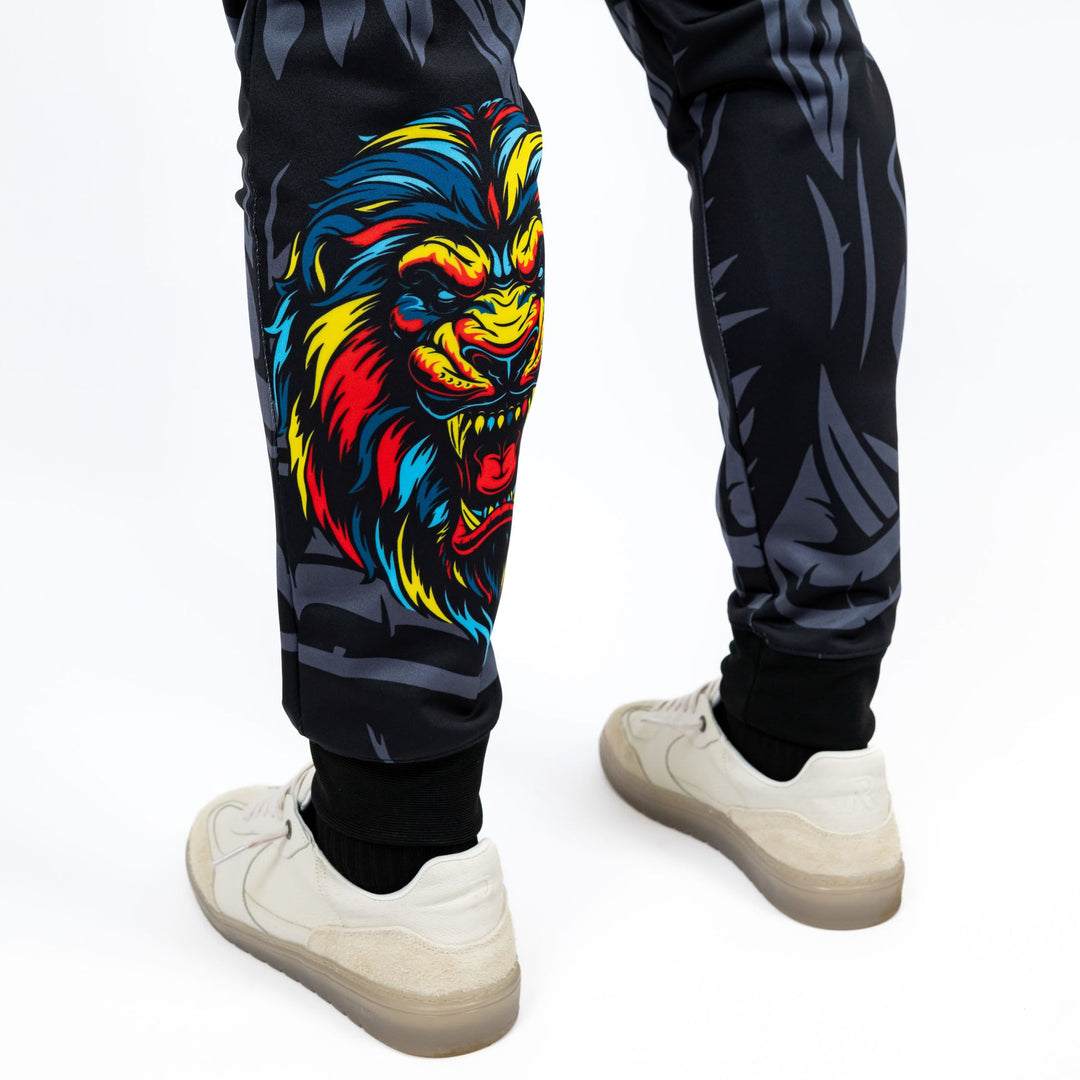 Trening Knockout Lion | knock-out.ro